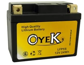 Oyek Premium Lithium Batteries - LFP01 Warranty Included