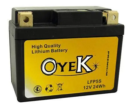Latest Oyek Premium Lithium Batteries - LFP20L