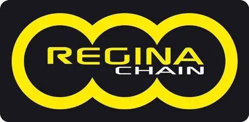 New Release Regina Z-Ring 530ORP4 114 Link Chain