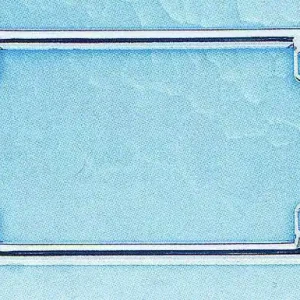 Zodiac Chrome License Plate Frame New Release