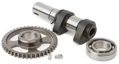 Direct From Manufacturer Hot Cams Racing Cam Stage 1 - 5046-1E