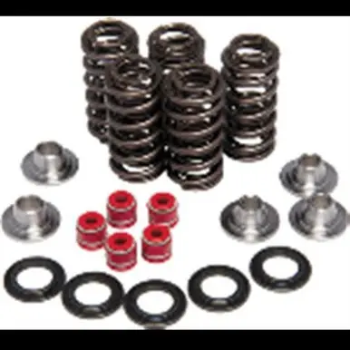 Last Chance Kpmi Racing Valve Spring Kit - 60-60240
