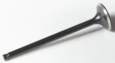 Kpmi Black Diamond Intake Valve - 30-30088 Get Yours