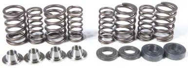 Kpmi Racing Valve Spring Kit - 80-80750 Luxury