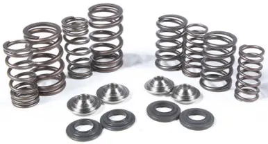 Kpmi Racing Valve Spring Kit - 30-31600 Free Shipping