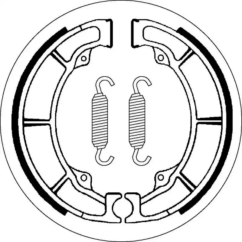 Special Discount SBS 2110 Brake Shoes - With Springs