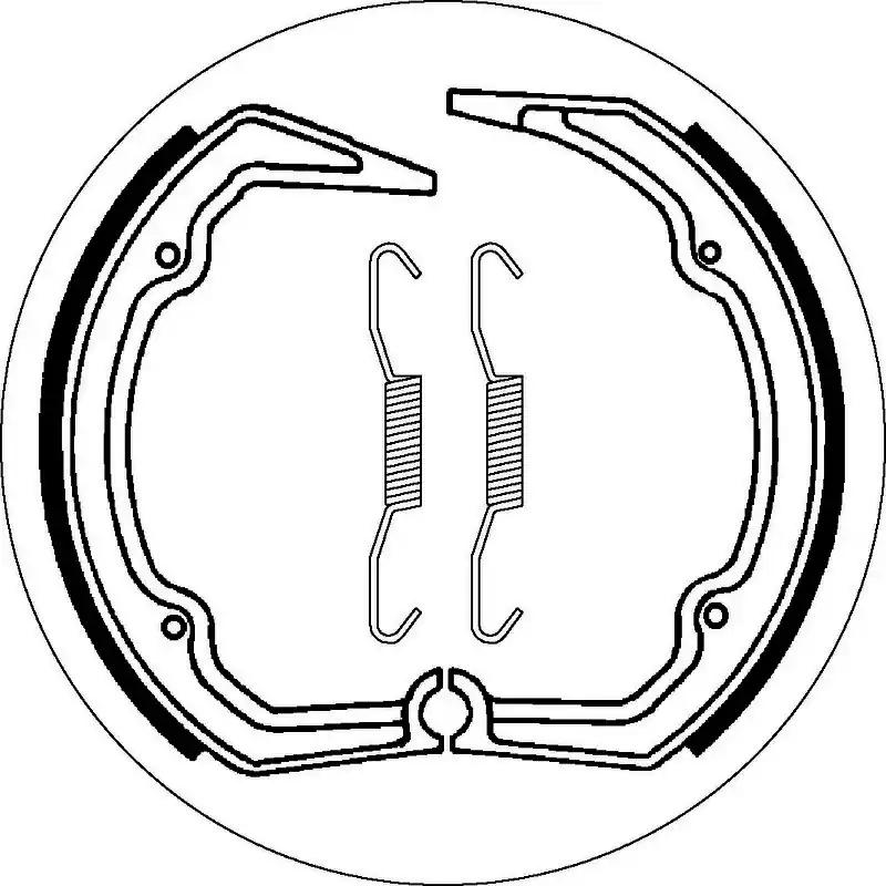 Wholesale SBS 2141 Brake Shoes - With Springs