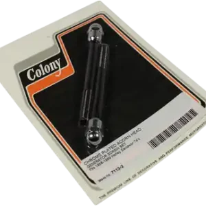Worldwide Shipping Colony 7113-2 - Acorn Generator Bolts - '58-'69 Big Twin