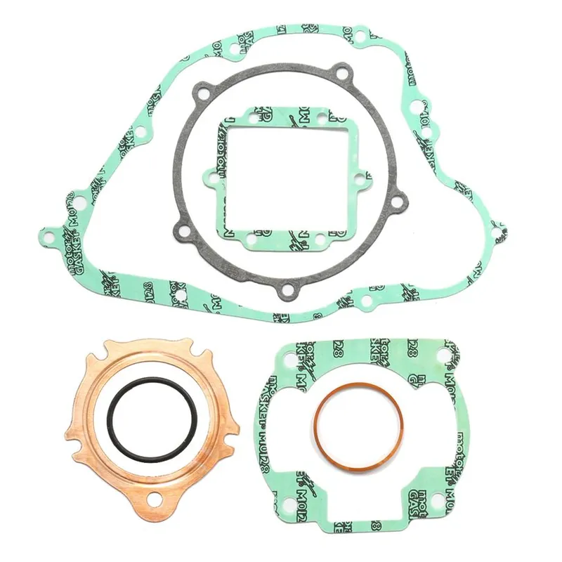 Complete Gasket Kit (oil seals not included) Final Sale