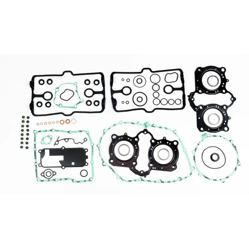 Fast Shipping Complete Gasket Kit (oil seals not included)