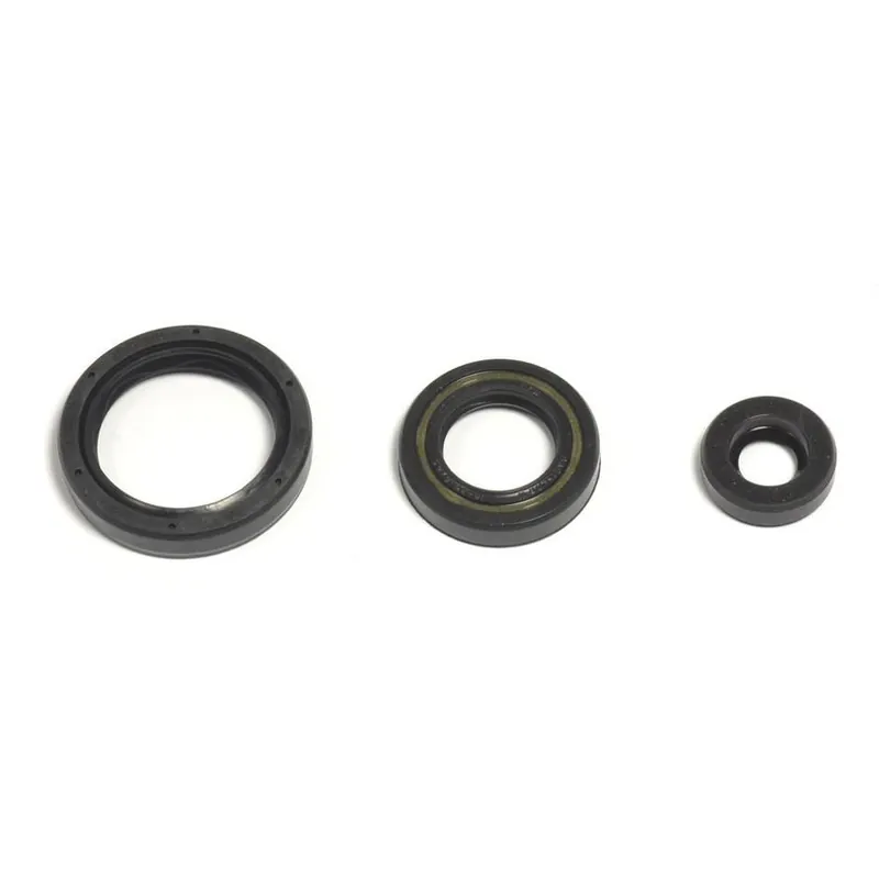 Budget Engine Oil Seals Kit