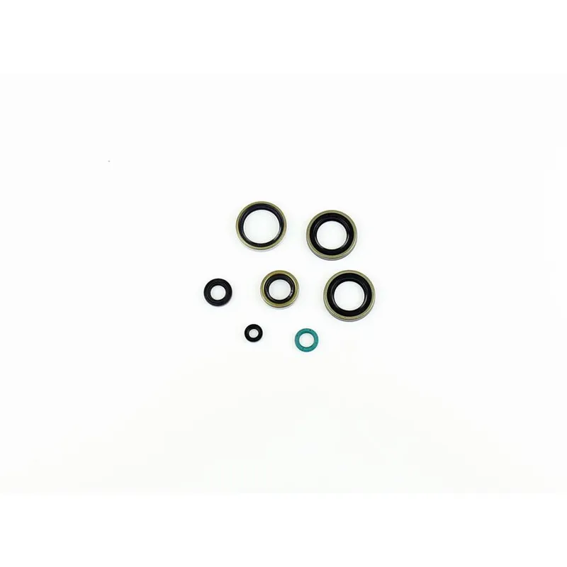 Engine Oil Seals Kit Direct From Factory
