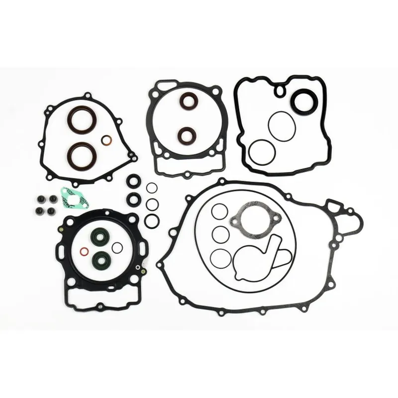 Buy Today Complete Gasket Kit (oil seals included)