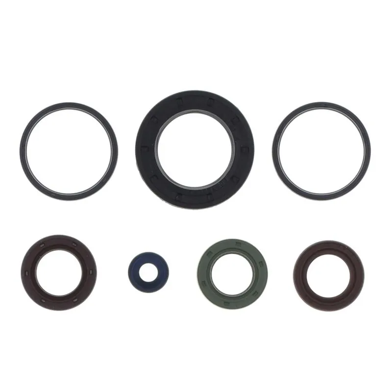 Today Only Engine Oil Seals Kit