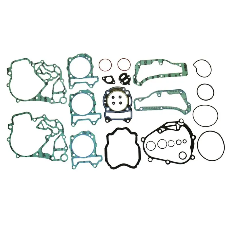 Last Chance Complete Gasket Kit (oil seals not included)