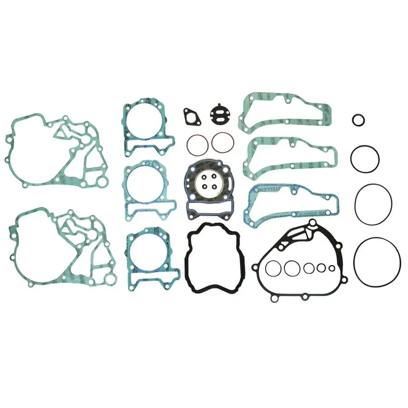 Complete Gasket Kit (oil seals not included) Special Discount