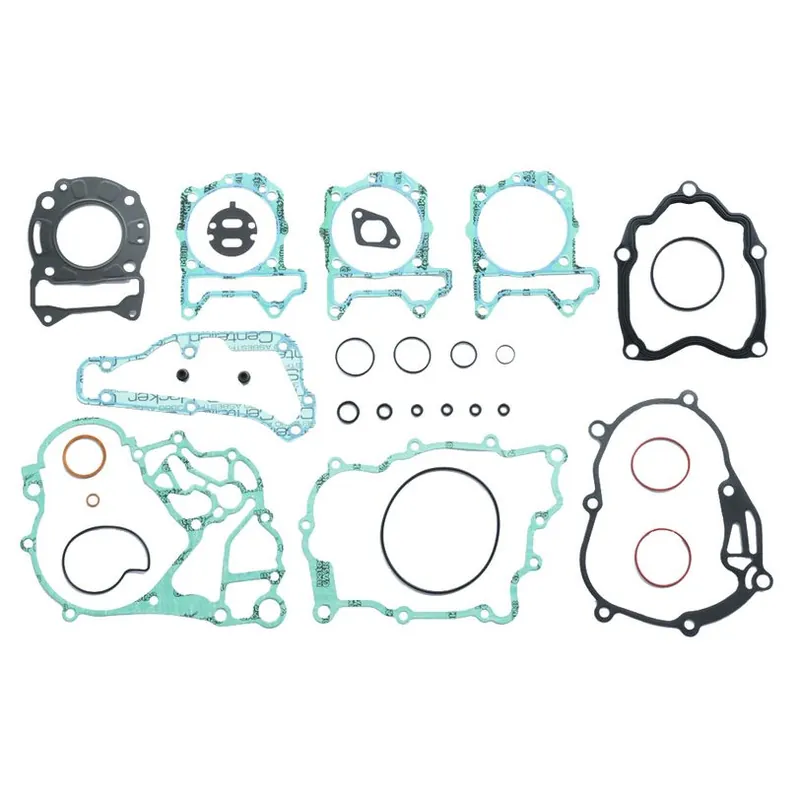 Complete Gasket Kit (oil seals not included) Get Yours