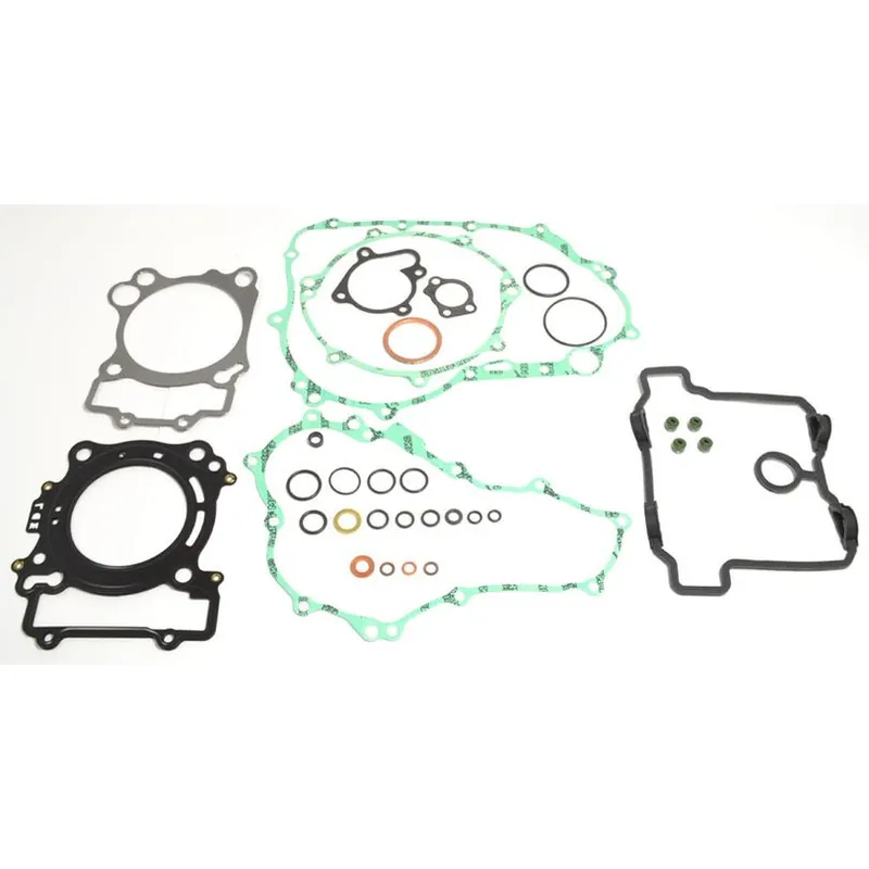 Complete Gasket Kit (oil seals not included) Last Chance