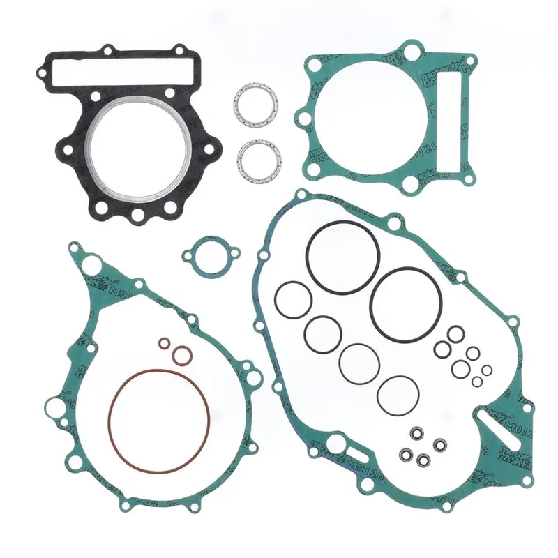 Complete Gasket Kit (oil seals not included) Direct From Factory