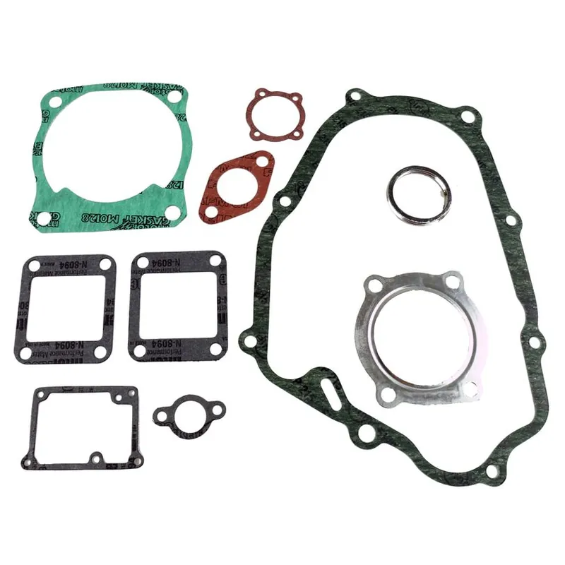 Special Discount Complete Gasket Kit (oil seals not included)