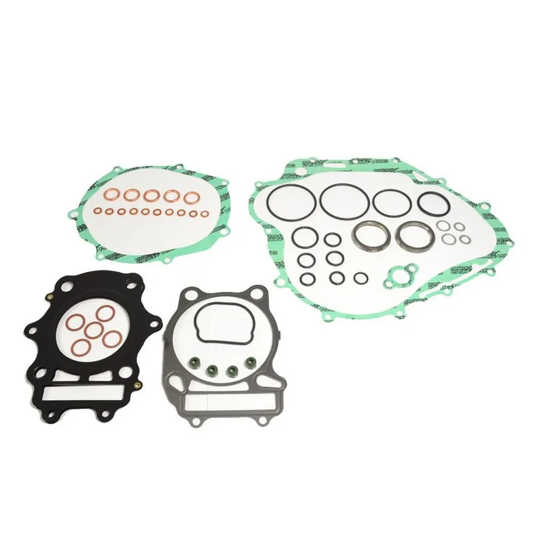 Complete Gasket Kit (oil seals not included) Direct From Factory