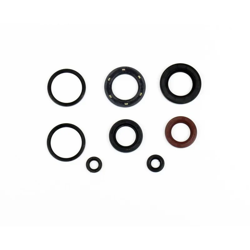 Bargain Engine Oil Seals Kit