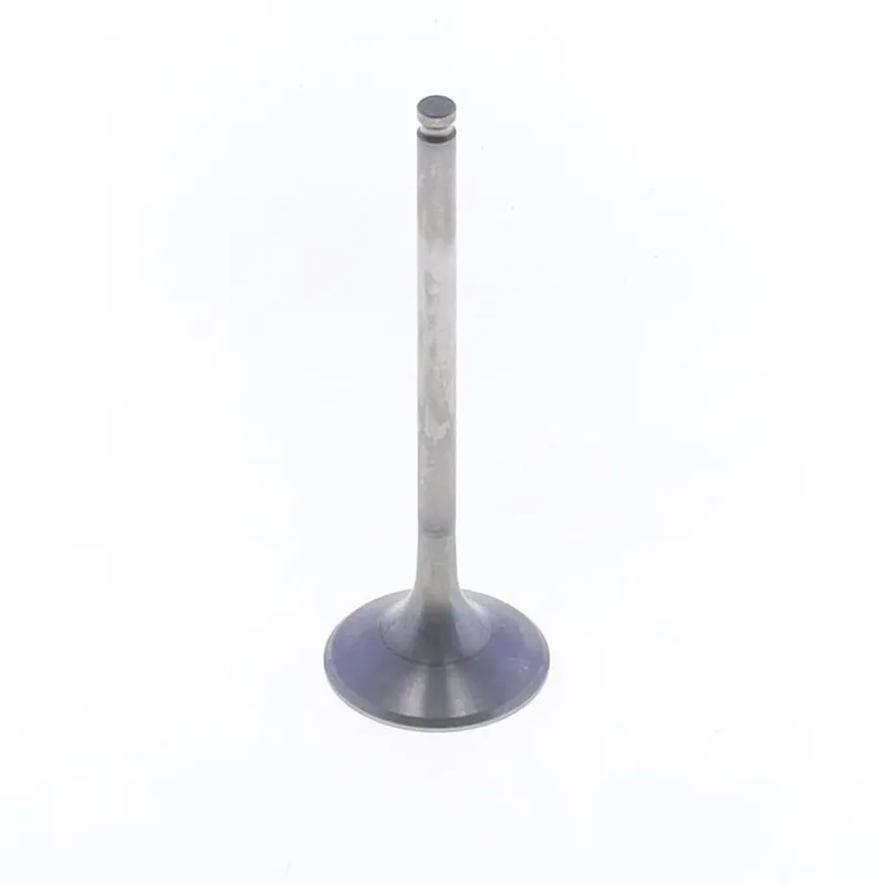 Exhaust Valve Top Pick