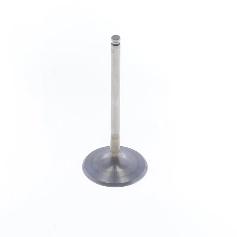 Price Drop Intake Valve