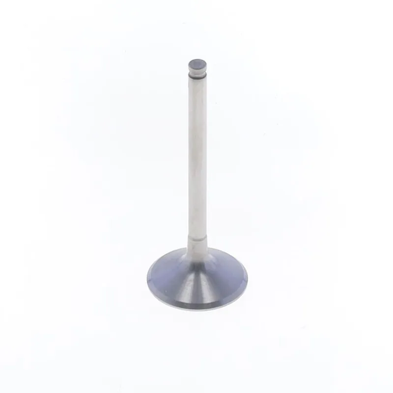 Deal Exhaust Valve