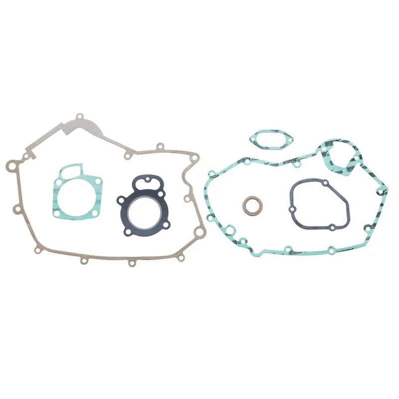 Complete Gasket Kit (oil seals not included) Special Discount