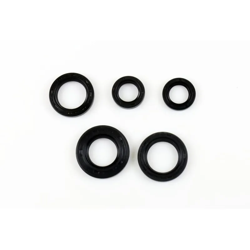 Worldwide Shipping Engine Oil Seals Kit