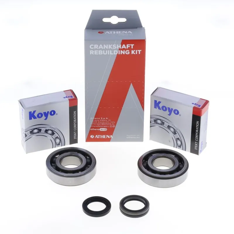 Crankshaft Rebuilding Kit: Bearing and Oil Seal Kit Limited Offer