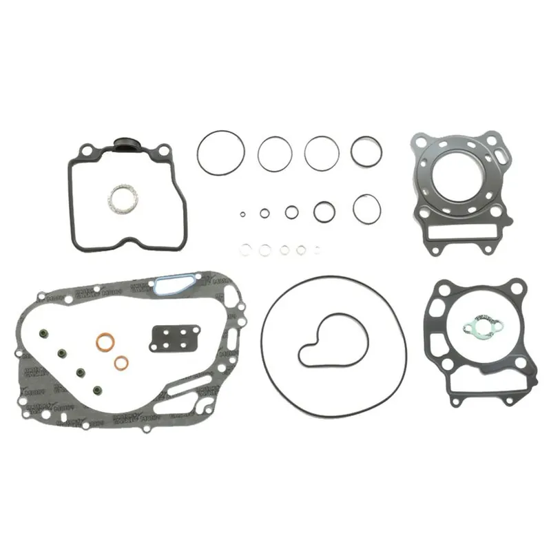 Reduced Price Complete Gasket Kit (oil seals not included)