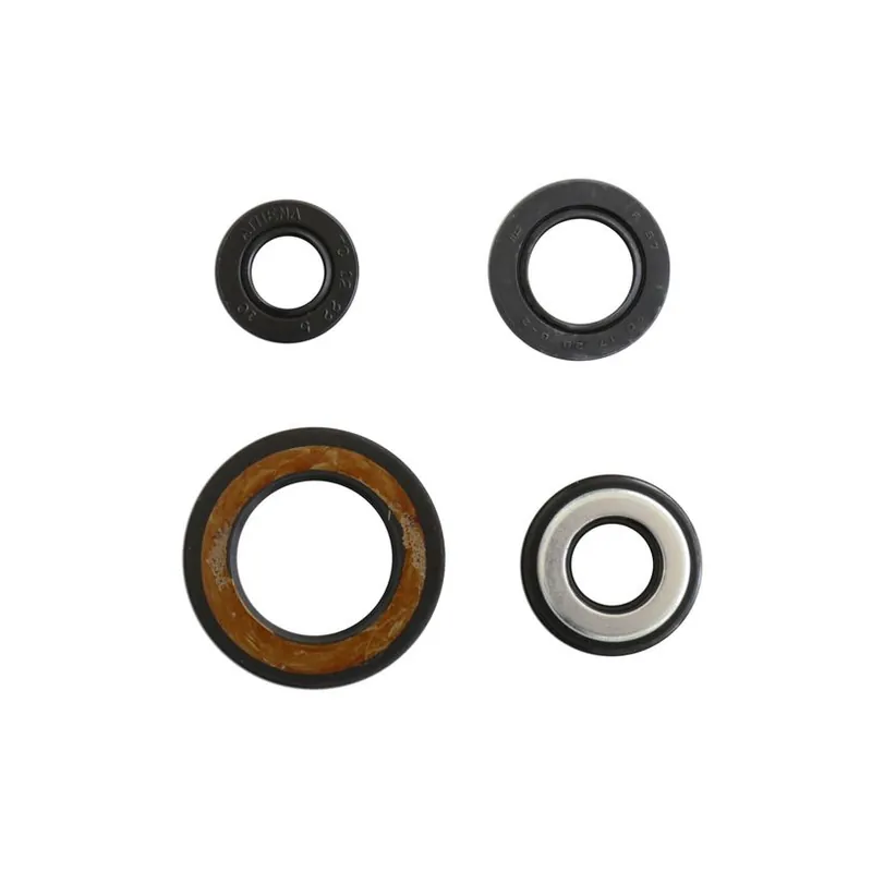 Engine Oil Seals Kit Premium