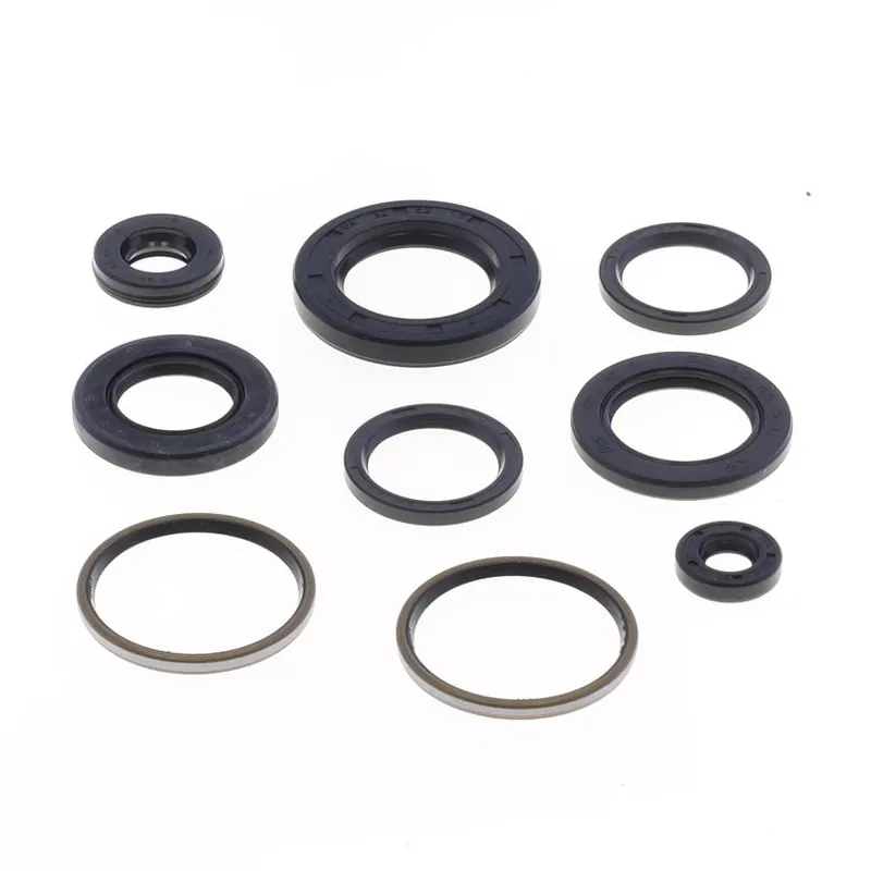 Same Day Shipping Engine Oil Seals Kit
