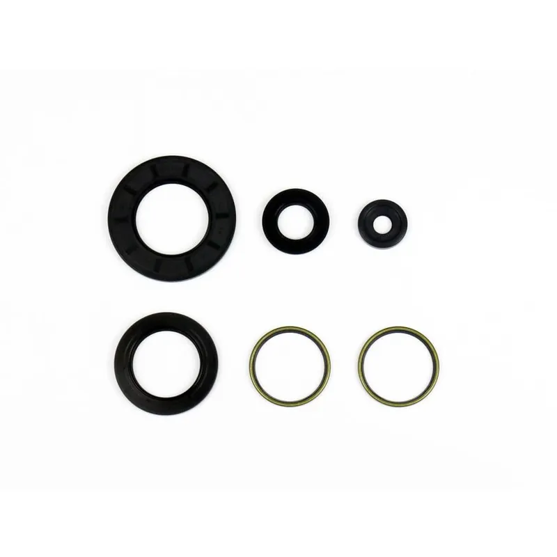 Price Cut Engine Oil Seals Kit