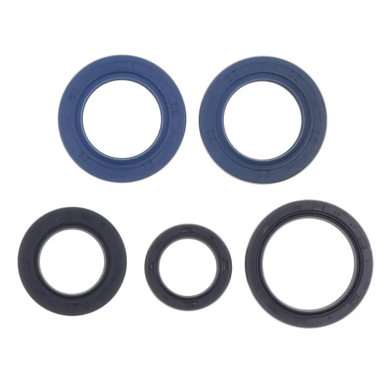 Limited Edition Engine Oil Seals Kit