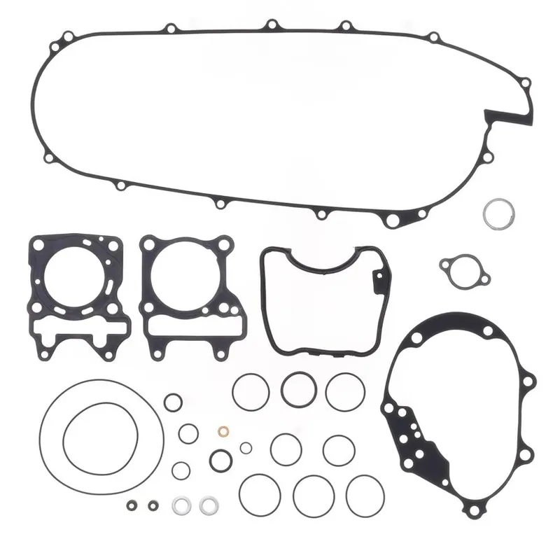 Must Have Complete Gasket Kit (oil seals not included)