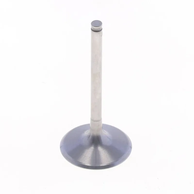 Intake Valve Seasonal Sale