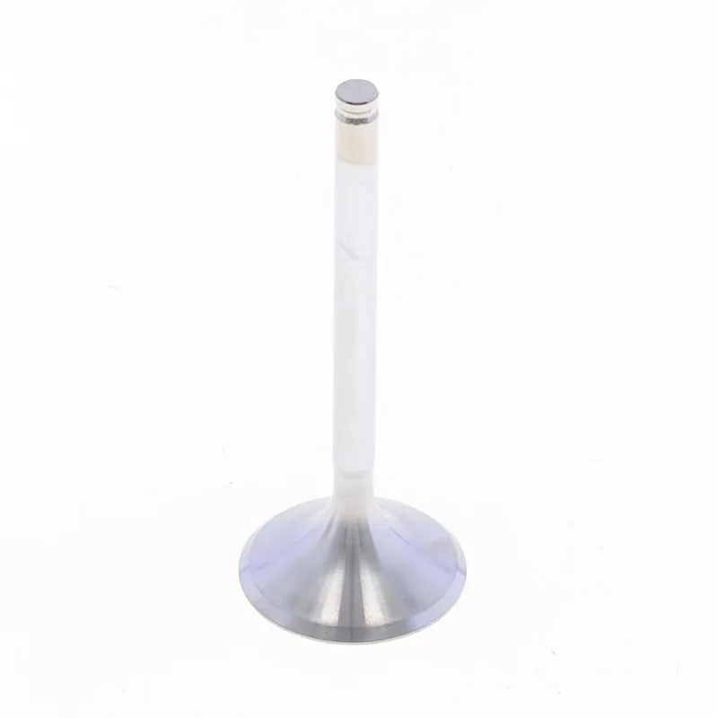 Direct From Factory Exhaust Valve