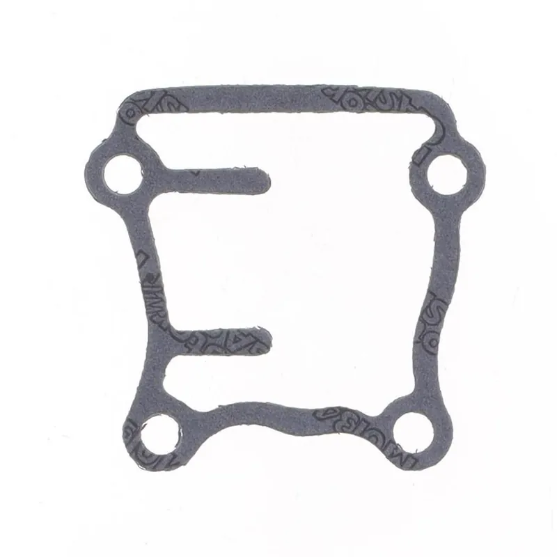 Express Delivery Lifter Cover Gasket